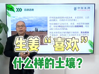 生姜“喜歡”什么樣的土壤？ ()