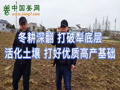 冬耕深翻 打破犁底層 活化土壤 打好優(yōu)質(zhì)高產(chǎn)基礎(chǔ) ()