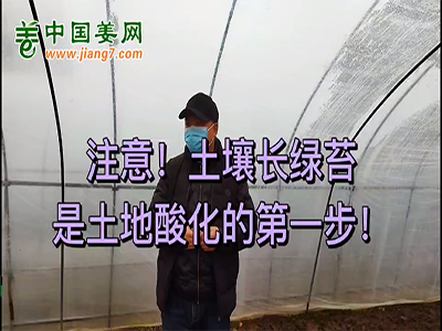 注意！土壤長(zhǎng)綠苔是土地酸化的第一步 (1949播放)