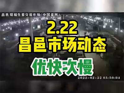 2月22日 昌邑生姜交易實況（好快孬慢） (1419播放)