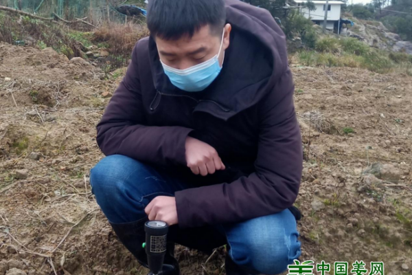 中國姜網(wǎng)生態(tài)基地調(diào)研指導(dǎo)--福建德化、江西于都 ()