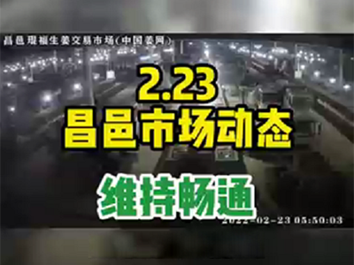 2月23日 昌邑生姜交易實況（價格平穩） (1342播放)