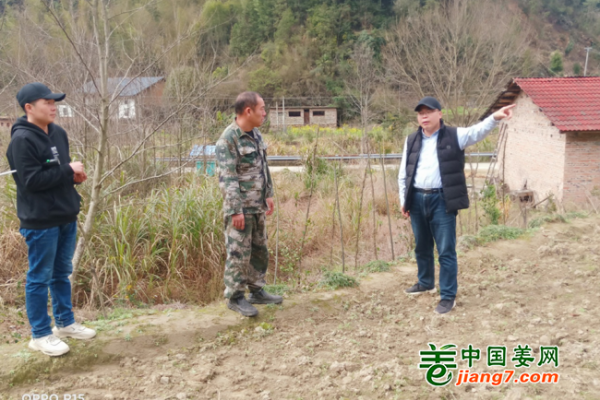 中國姜網生態基地調研指導--湖南（桂東、資興) ()