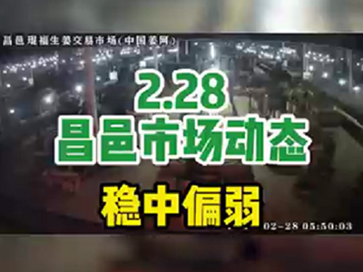 2月28日 昌邑生姜交易實況（穩中偏弱） (1675播放)