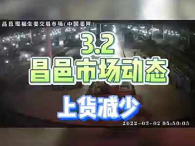 3月2日 昌邑生姜交易實況（上貨減少） (1370播放)