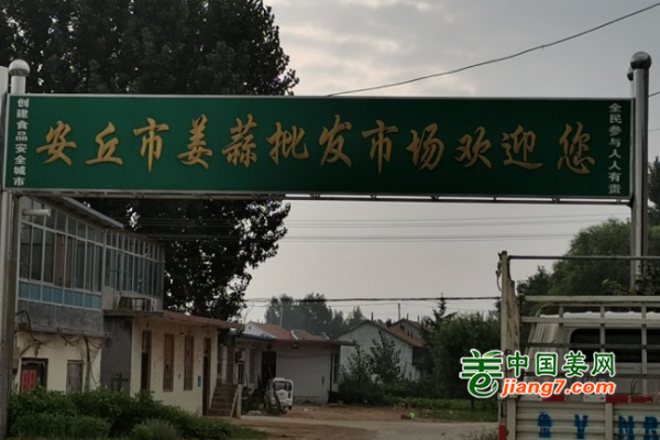 生姜主產(chǎn)區(qū)市場(chǎng)調(diào)研--安丘篇 ()