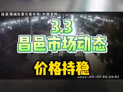 3月3日 昌邑生姜交易實況（價格平穩） (1389播放)