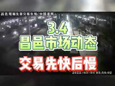 3月4日 昌邑生姜交易實(shí)況（先快后慢） (1403播放)