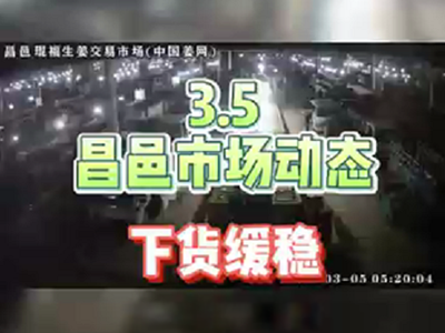 3月5日 昌邑生姜交易實(shí)況（下貨緩穩(wěn)） (1452播放)
