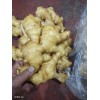 生姜供應(yīng)13176070878