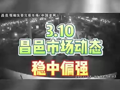 3月10日 昌邑生姜交易實(shí)況（穩(wěn)中偏硬） (1442播放)