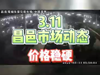 3月11日 昌邑生姜交易實(shí)況（價(jià)格穩(wěn)硬） (1424播放)