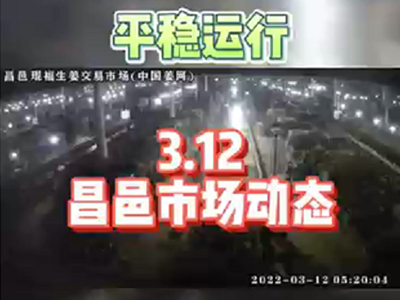 3月12日 昌邑生姜交易實(shí)況（平穩(wěn)運(yùn)行） (1464播放)