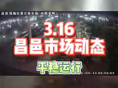 3月16日 昌邑生姜交易實況（行情平穩） (1498播放)