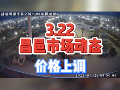 3月22日 昌邑生姜交易實況（價格上漲） (1802播放)