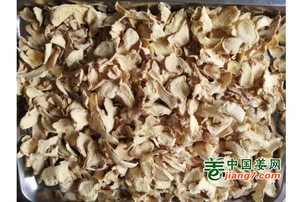 4013869.jpg.middle (1)
