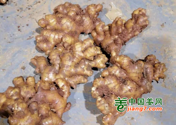 QQ截圖20220328093243