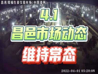 4月1日 昌邑生姜交易實(shí)況（行情平穩(wěn)） (1943播放)