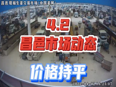 4月2日 昌邑生姜交易實(shí)況（價(jià)格持平） (2021播放)