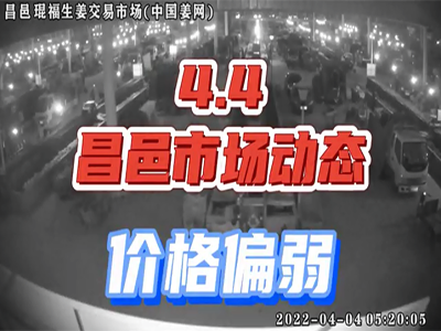4月4日 昌邑生姜交易實(shí)況（行情偏弱） (1655播放)