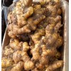 大量出售基地生茬優(yōu)質(zhì)品種姜種