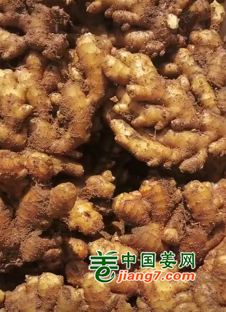 QQ截圖20220421133934