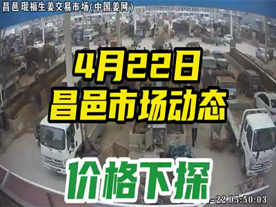 4月22日 昌邑生姜交易實況（價格下滑） (1807播放)