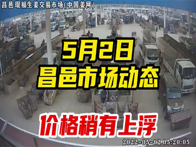 5月2日 昌邑生姜交易實況（價格略漲） (2170播放)