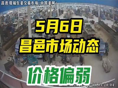 5月6日 昌邑生姜交易實況（行情偏弱） (2222播放)