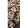出售生姜18669911272