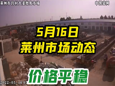 5月16日 萊州生姜交易實況（價格平穩） (863播放)
