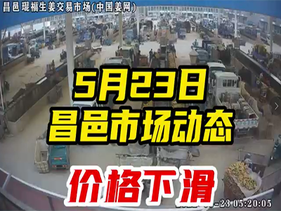 5月23日 昌邑生姜交易實況（價格下滑） (2009播放)