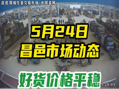5月24日 昌邑生姜交易實況（好穩孬漲） (2377播放)
