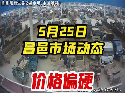 5月25日 昌邑生姜交易實況（價格偏硬） (2030播放)