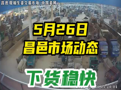 5月26日 昌邑生姜交易實況（下貨穩快） (2475播放)