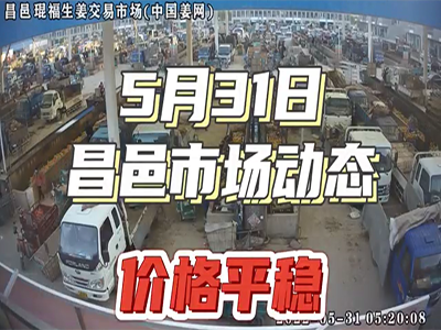5月31日 昌邑生姜交易實況（價格平穩） (2060播放)