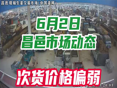 6月2日 昌邑生姜交易實況（下貨偏慢） (2415播放)