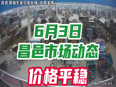 6月3日 昌邑生姜交易實況（價格平穩） (2432播放)