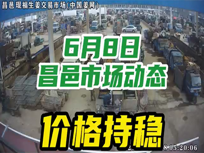 6月8日 昌邑生姜交易實況（價格平穩） (2431播放)