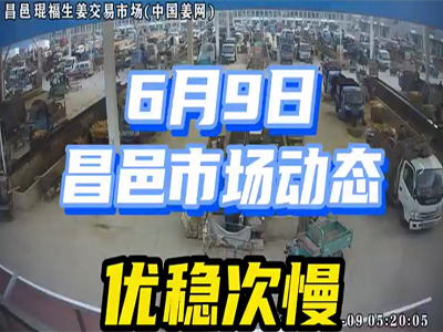 6月9日 昌邑生姜交易實況（優穩次慢） (2124播放)