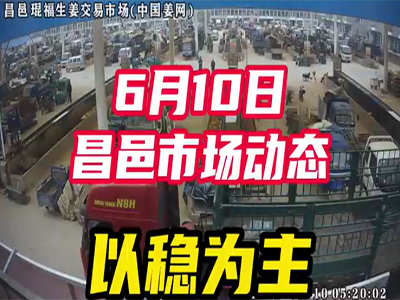 6月10日 昌邑生姜交易實況（以穩為主） (2434播放)