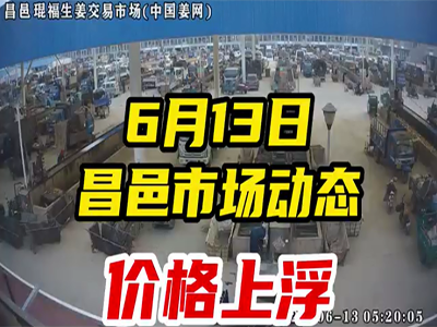 6月13日 昌邑生姜交易實況（價格上漲） (2283播放)