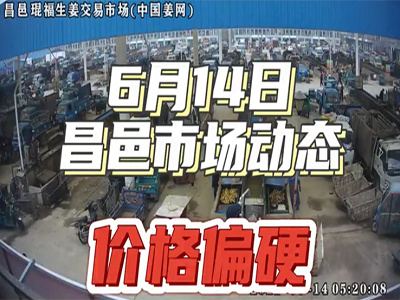 6月14日 昌邑生姜交易實(shí)況（價(jià)格上漲） (2141播放)