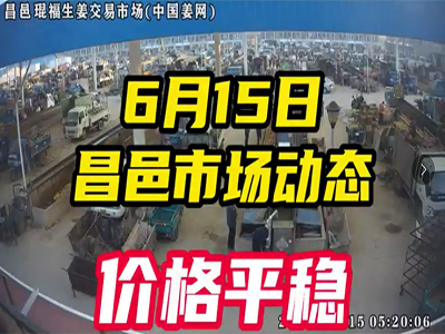 6月15日 昌邑生姜交易實(shí)況（價(jià)格平穩(wěn)） (2514播放)