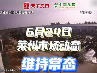 6月24日 萊州生姜交易實況（價格暫穩） (808播放)
