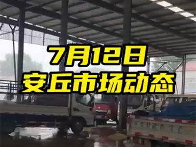 7月12日 安丘生姜交易實況（價格下滑） (2548播放)
