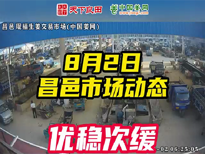 8月2日 昌邑生姜交易實況（優穩次緩） (2356播放)