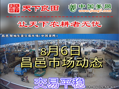 8月6日 昌邑生姜交易實況（價格平穩） (2722播放)
