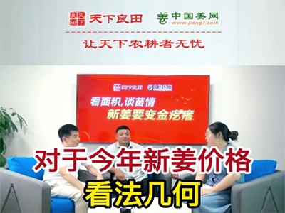 對于今年新姜價格看法幾何？ (476播放)