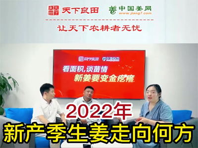 2022年新產(chǎn)季生姜走向何方？ (145播放)